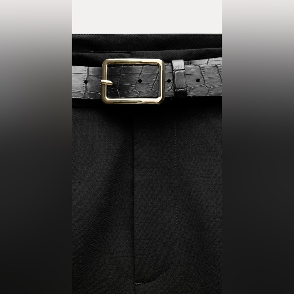 Zara Belted Pleated Pants - Picture 7 of 7